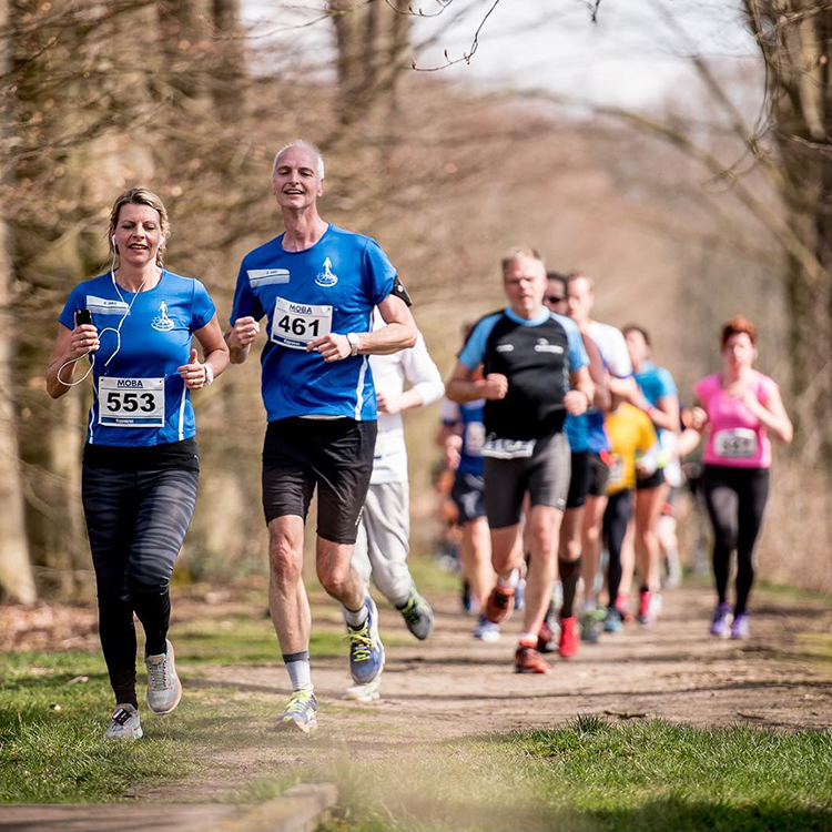 De Moba kippenren - paradijs