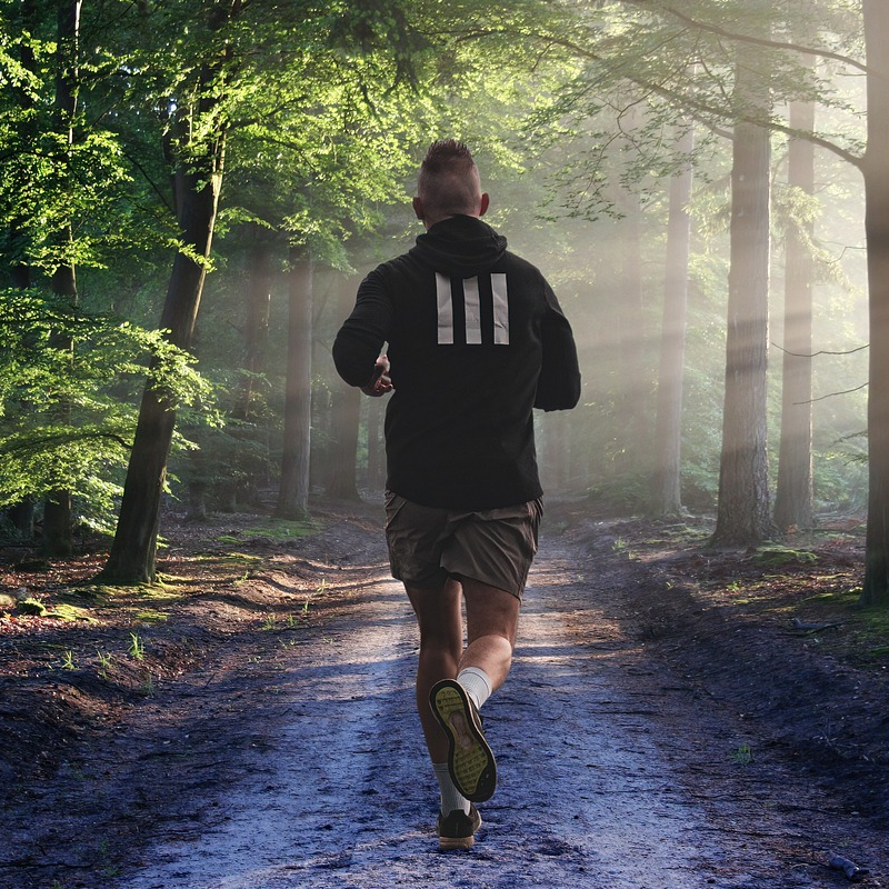 Moba Kippenren - 't Paradijs